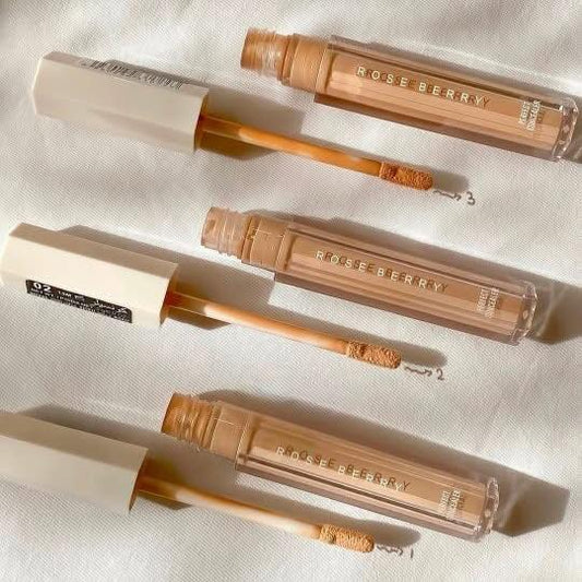 Rose Berry The Perfect Concealer