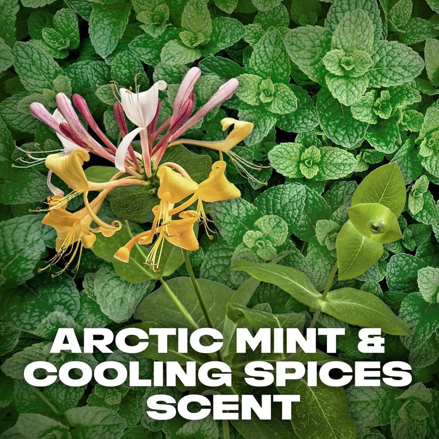 بخاخ الجسم من آكس للرجال - ١٥٠ مل 