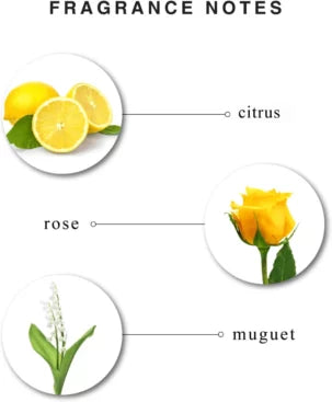 لوشن مرطب للجسم برائحة ساحرة من إنشانتور - 250 مل